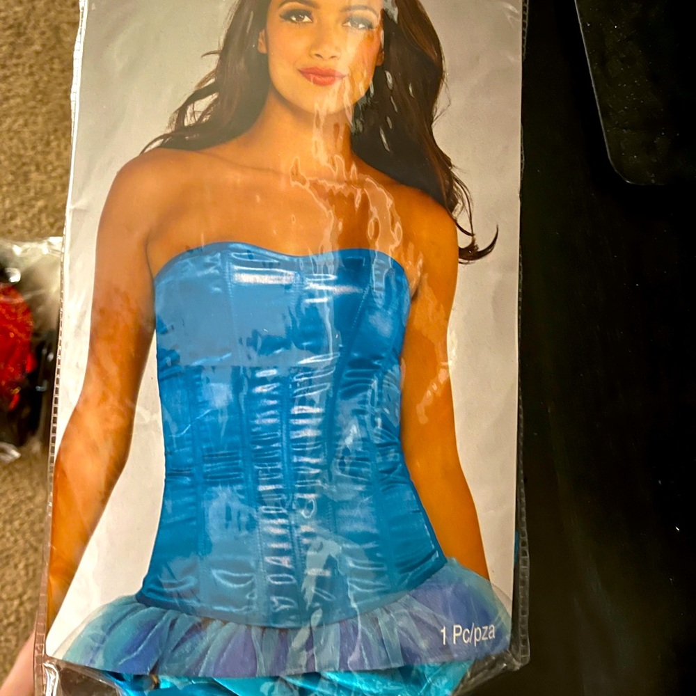 Blue Corset